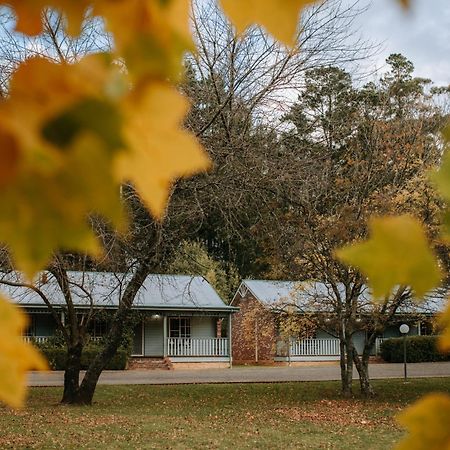 Federation Gardens & Possums Hideaway Blackheath Exterior foto