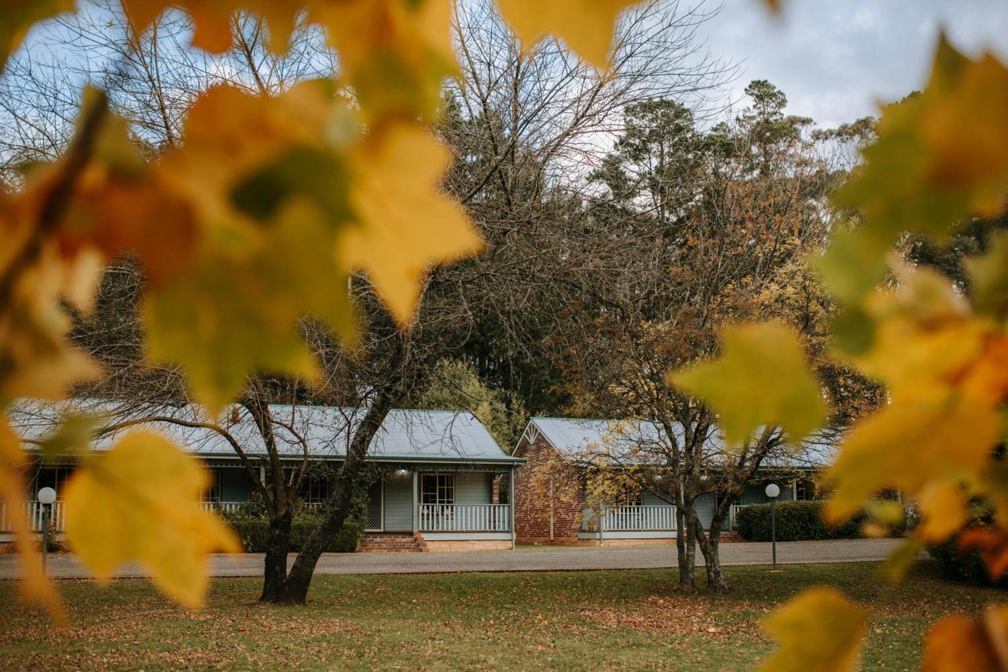 Federation Gardens & Possums Hideaway Blackheath Exterior foto