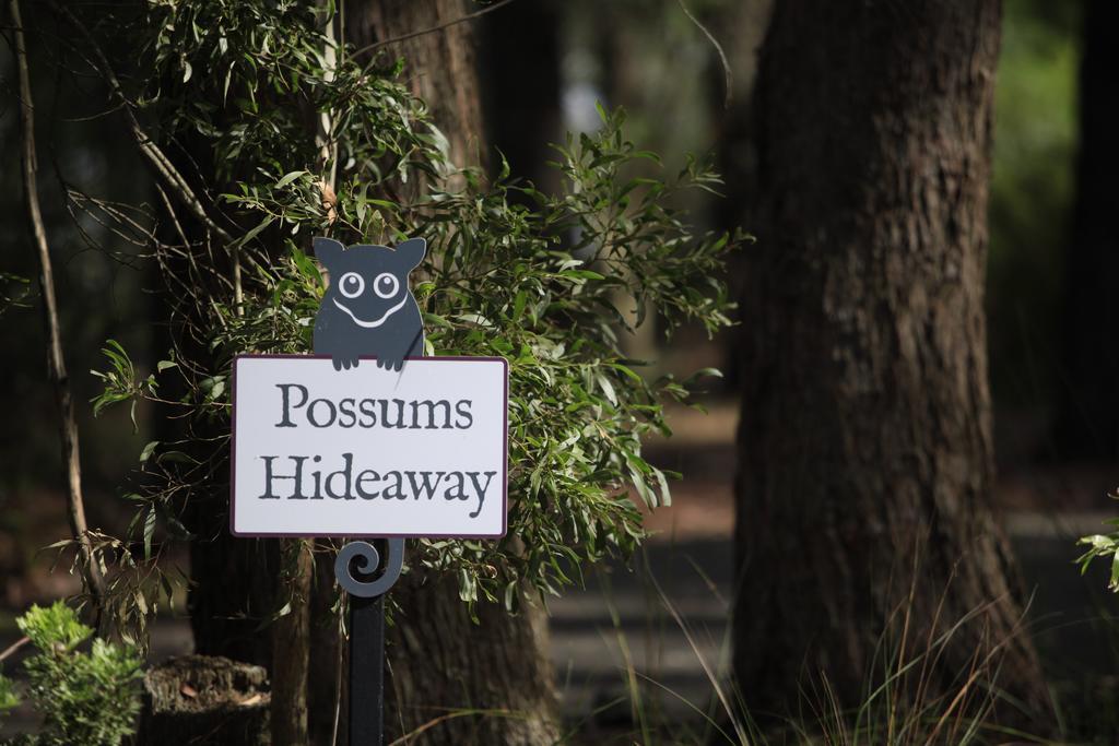 Federation Gardens & Possums Hideaway Blackheath Exterior foto