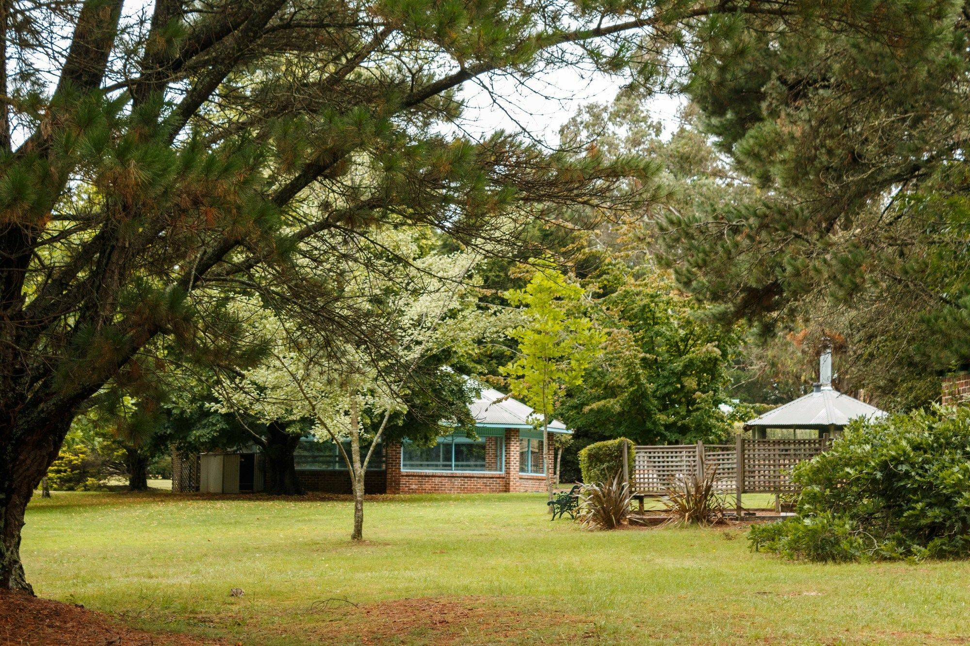 Federation Gardens & Possums Hideaway Blackheath Exterior foto