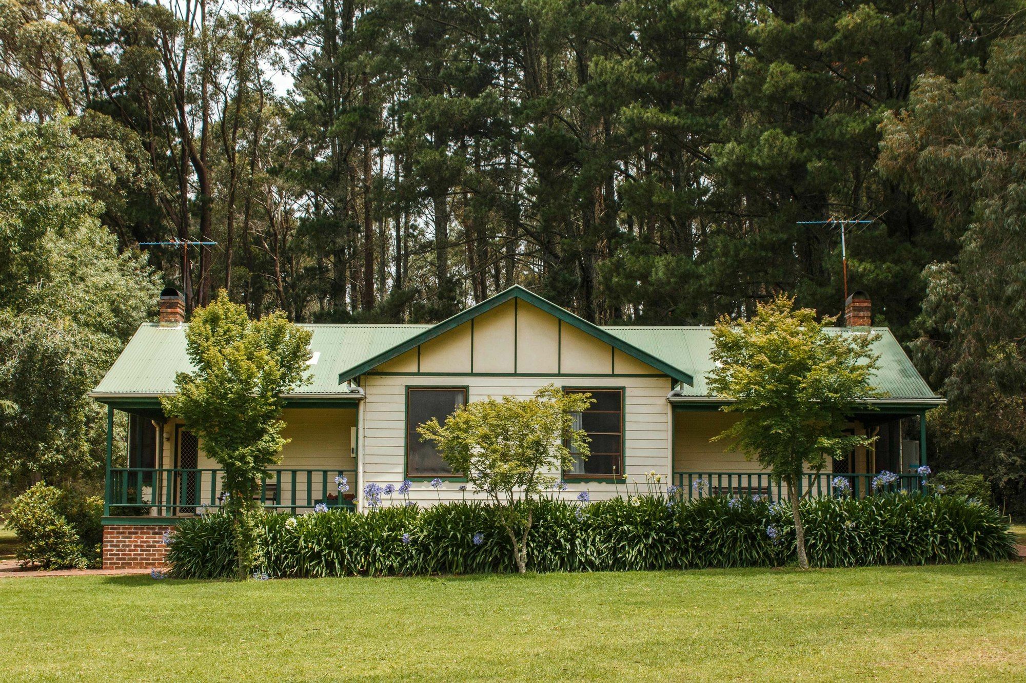 Federation Gardens & Possums Hideaway Blackheath Exterior foto