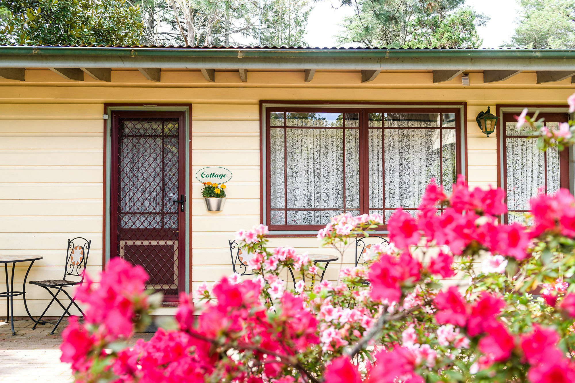 Federation Gardens & Possums Hideaway Blackheath Exterior foto