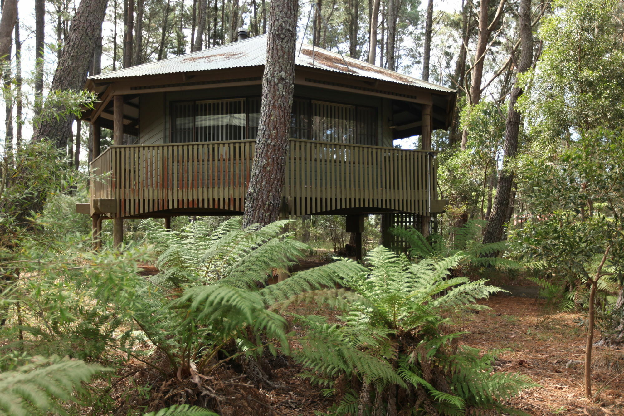 Federation Gardens & Possums Hideaway Blackheath Exterior foto